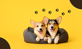 ESKİŞEHİR İÇİ 600₺ ÜCRETSİZ KARGO