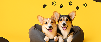 Ağız ve Diş Sağlığı İçin <br> Çözümler