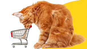 Kedi Mamalarında <br> Süper İndirim!