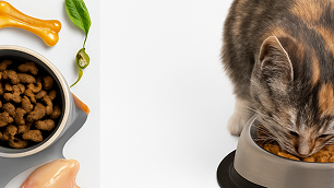 Haftanın <br> Fırsat Ürünleri!