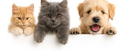 Tüy ve Deri Bakım <br> Ürünleri