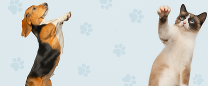 Lezzetli ve Sağlıklı <br> Ödül Mamaları