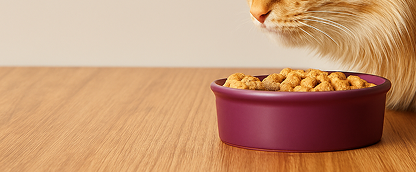 Kedi Mamalarında <br> Süper İndirim!