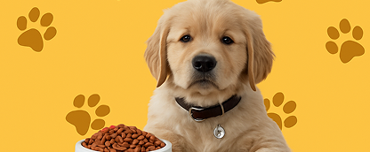 Eğitici ve Eğlenceli <br> Oyuncaklar